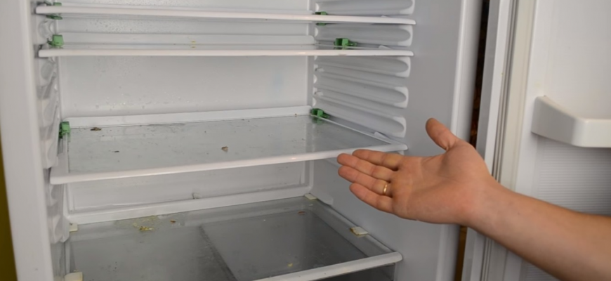 как убрать плесень в холодильнике